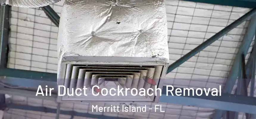  Air Duct Cockroach Removal Merritt Island - FL