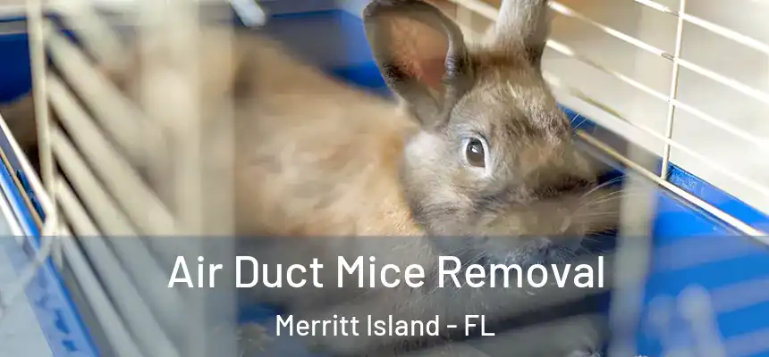 Air Duct Mice Removal Merritt Island - FL