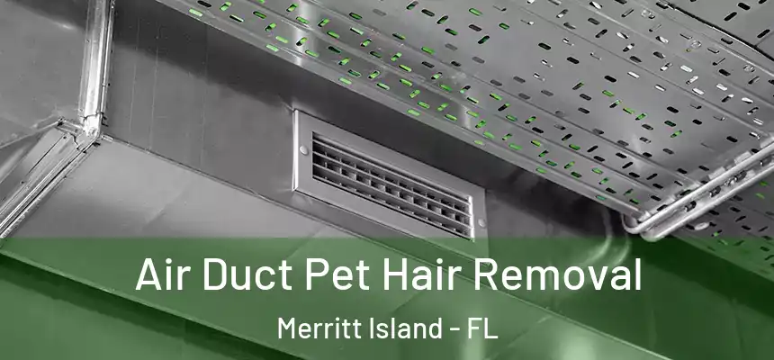 Air Duct Pet Hair Removal Merritt Island - FL