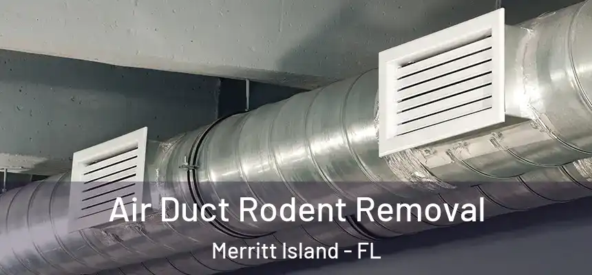  Air Duct Rodent Removal Merritt Island - FL