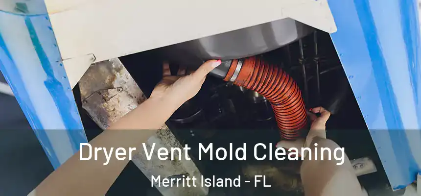  Dryer Vent Mold Cleaning Merritt Island - FL