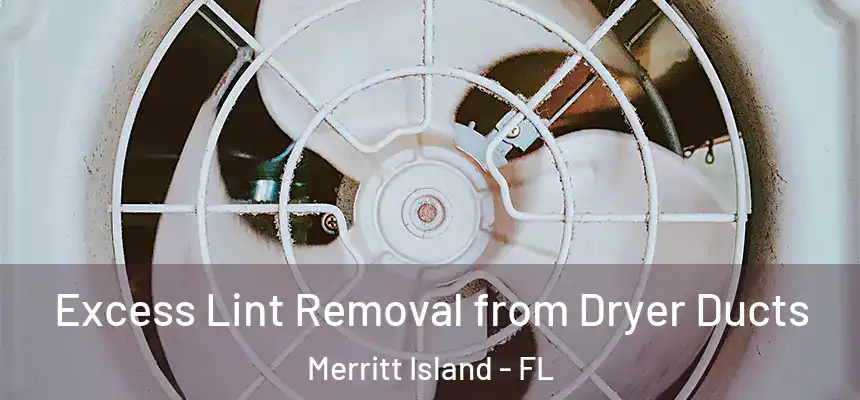 Excess Lint Removal from Dryer Ducts Merritt Island - FL