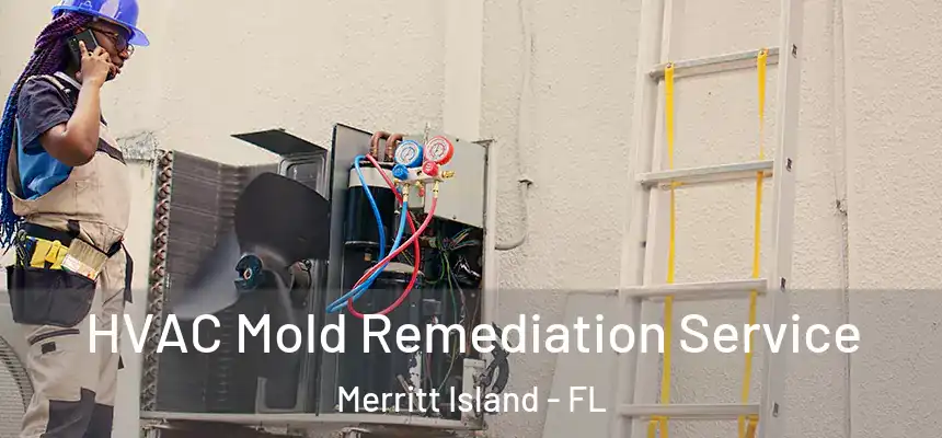 HVAC Mold Remediation Service Merritt Island - FL