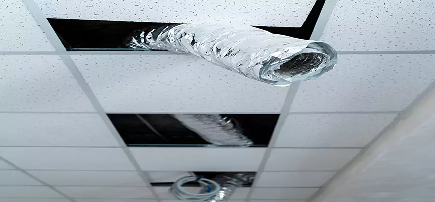 Our Air Duct Pet Hair Removal Services in Merritt Island, FL