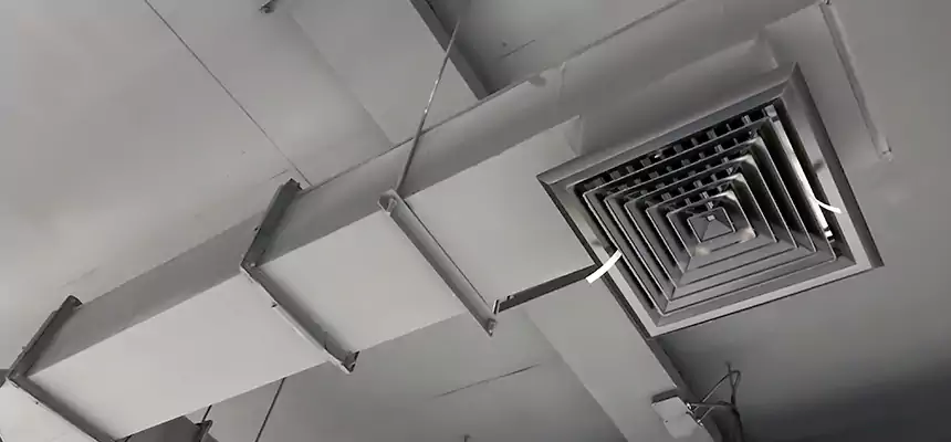 Our Rodent Droppings In Vents Services in Merritt Island, FL