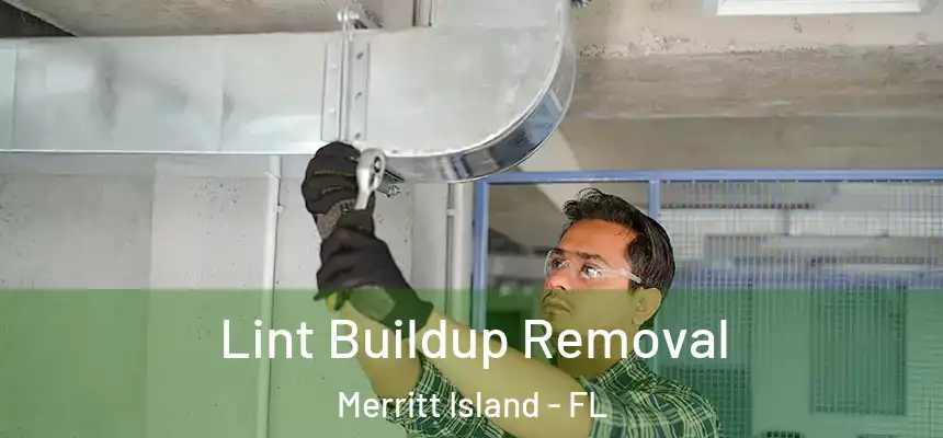  Lint Buildup Removal Merritt Island - FL
