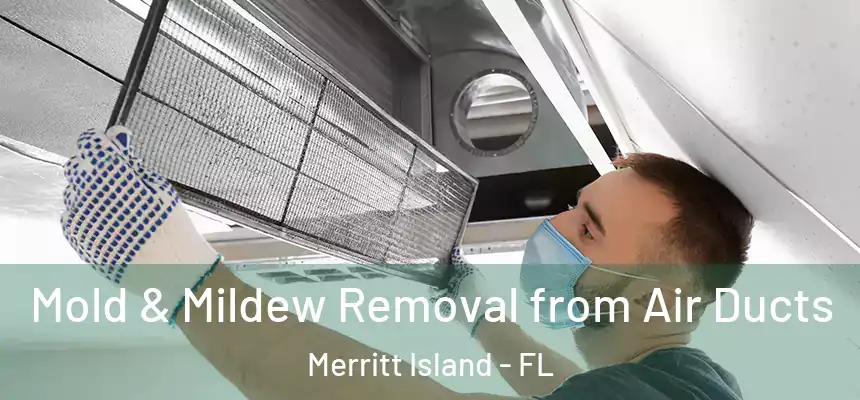 Mold & Mildew Removal from Air Ducts Merritt Island - FL