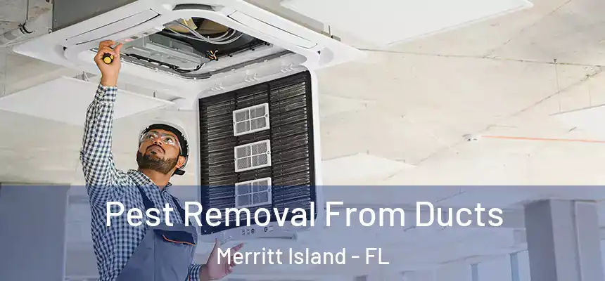  Pest Removal From Ducts Merritt Island - FL