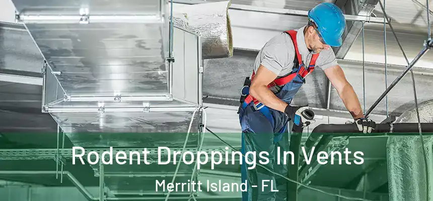  Rodent Droppings In Vents Merritt Island - FL