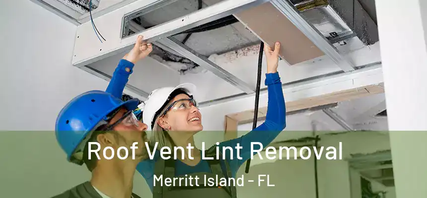 Roof Vent Lint Removal Merritt Island - FL