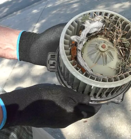 About Air Duct Rat Removal in Merritt Island, FL