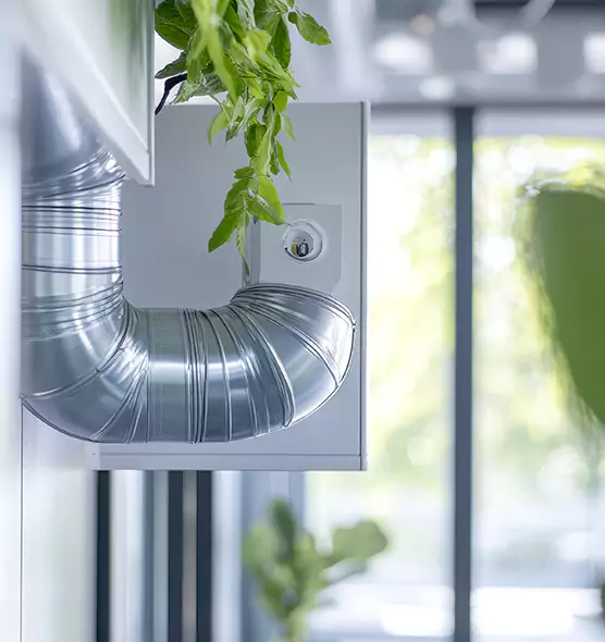 Professional Eco-Safe Dryer Vent Cleaning in Merritt Island, FL