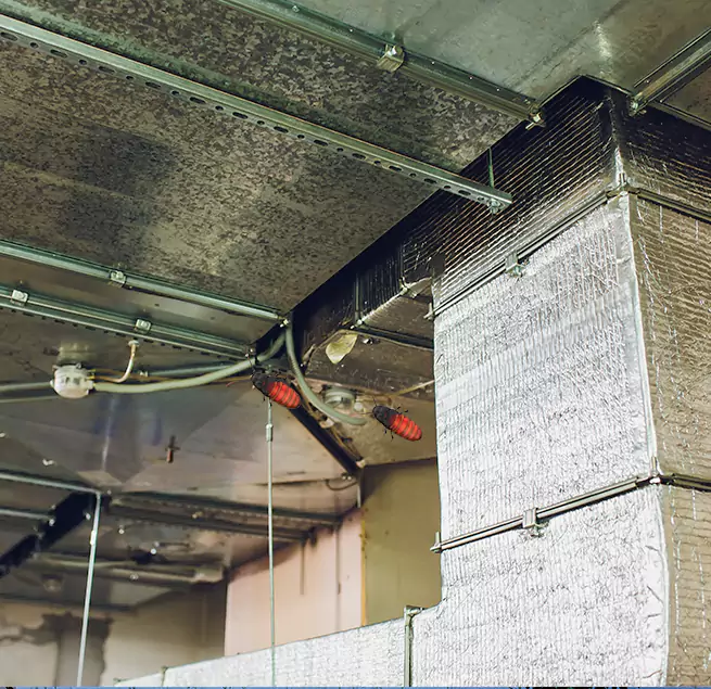 Why Homeowners & Businesses Trust Us in Merritt Island, FL?