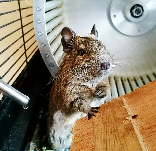 Why Homeowners & Businesses Trust Us Merritt Island, FL?