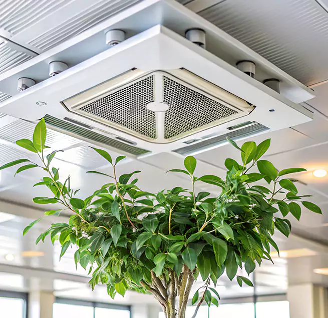 Why Homeowners & Businesses Trust Us in Merritt Island, FL?